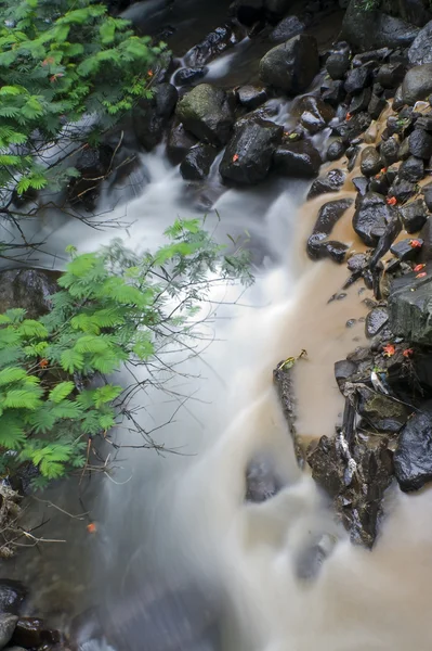 Schöner Fluss — Stockfoto