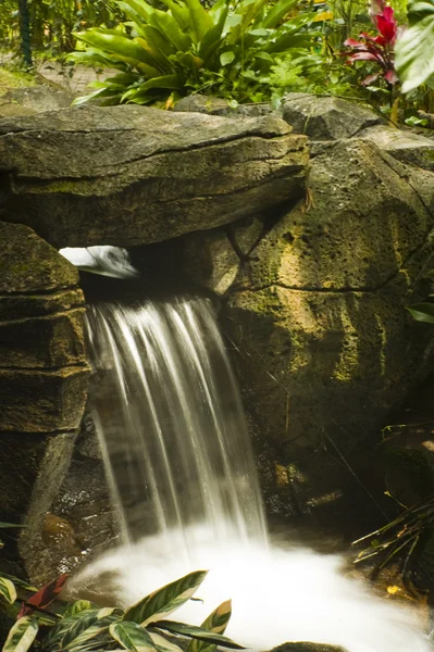 Primer plano de la cascada — Foto de Stock