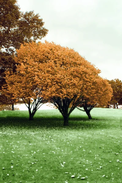 Herbstliche Landschaft — Stockfoto