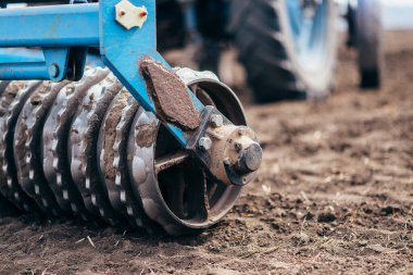 Traktör baharda alanı işliyor. Buğday ve tahıl ekimi üzerinde çalışan hasat işçisi