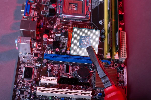 Computerprocessor Microprocessor Het Moederbord Rood Neon Licht Nieuwe Engineering Computertechnologieën — Stockfoto