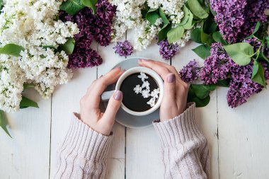 Masasında bir fincan kahveyle leylak çiçekli bir kızın elleri. Beyaz tahta yatağın arka planı. Bahar çiçekleri kafesi için uygun.