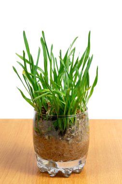 Sağlıklı beslenen bir bardak ot.. 