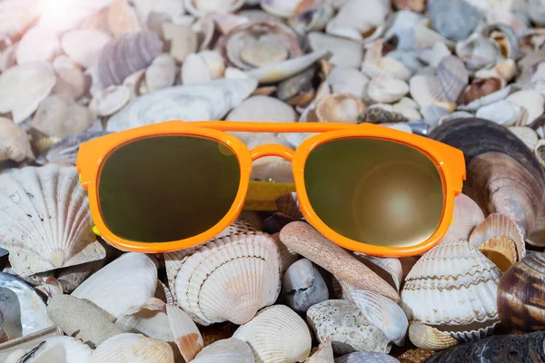 Sunglasses Seashells Beach Summer — 图库照片