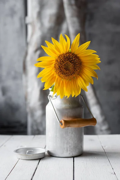 sunflower in a vase in autumn on a white table in the su