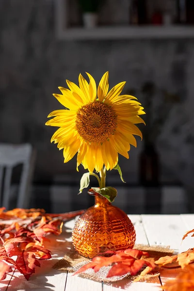 sunflower in a vase in autumn on a white table in the su