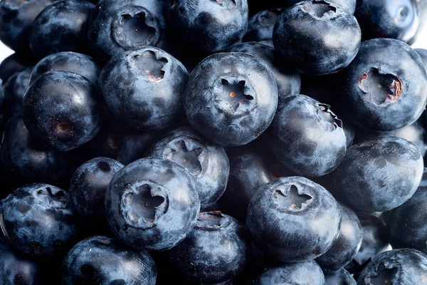 Summer Blue Blueberries Close Macro Photo Original Color Photograph — Stockfoto