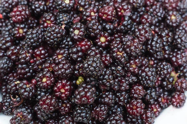 Blackberry