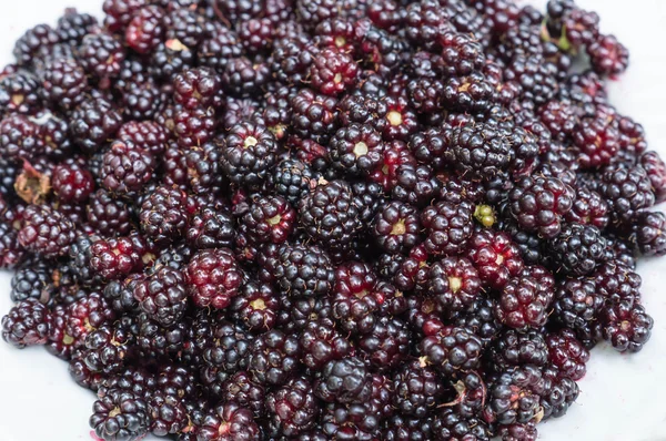 Blackberry