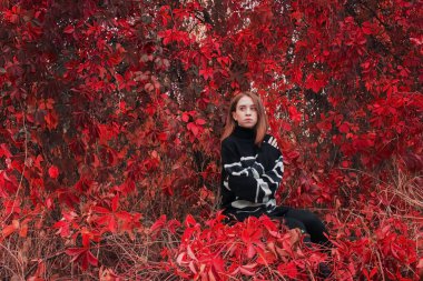 Parlak kırmızı yapraklardan oluşan bir arka planda güzel bir kadının sonbahar portresi. Sıcak siyah kazak.