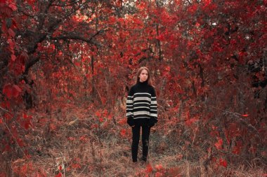 Sonbahar arka planında, kalın siyah kazaklı güzel bir kızın tam boy fotoğrafı. Kırmızı yapraklar