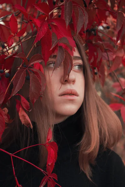 Gros Plan Portrait Une Belle Fille Aux Feuilles Rouges Photo — Photo