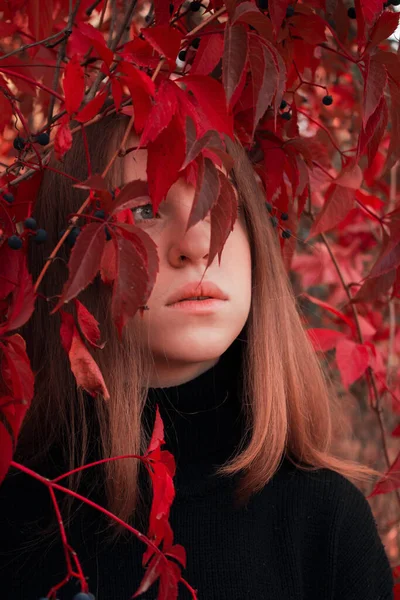 Κοντινό Πορτραίτο Ενός Όμορφου Κοριτσιού Κόκκινα Φύλλα Φθινοπωρινή Φωτογραφία — Φωτογραφία Αρχείου