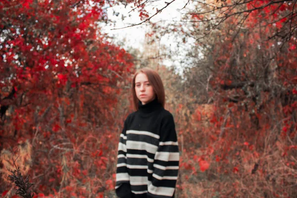 Desfocado Retrato Uma Menina Bonita Fundo Outono — Fotografia de Stock