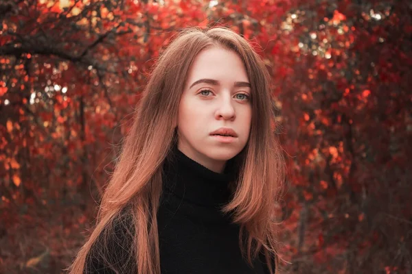 Herbstporträt Einer Schönen Niedlichen Frau Vor Einem Hintergrund Leuchtend Roter — Stockfoto