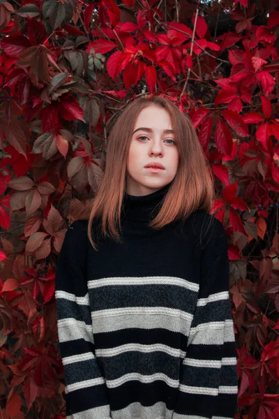 Portrait Automne Une Belle Femme Mignonne Sur Fond Feuilles Rouge — Photo