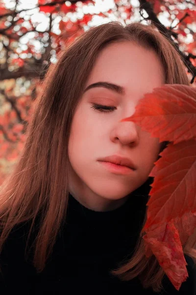 Retrato Close Uma Menina Bonita Com Folhas Vermelhas Outono Foto — Fotografia de Stock