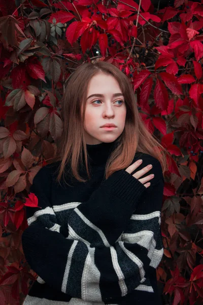 Portrait Automne Une Belle Femme Mignonne Sur Fond Feuilles Rouge — Photo