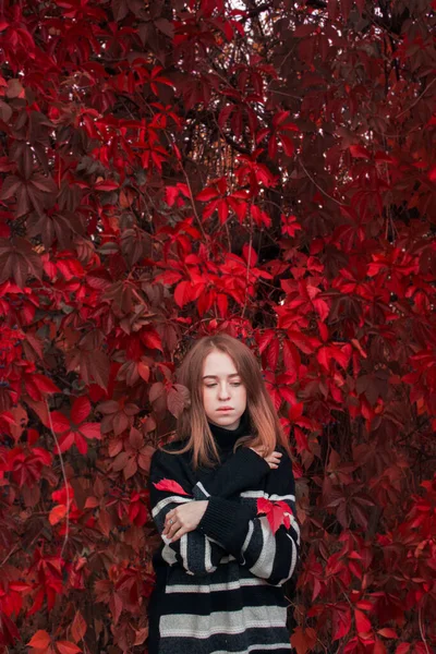 鮮やかな赤の葉を背景に美しいかわいい女性の秋の肖像画 暖かい黒のセーター — ストック写真
