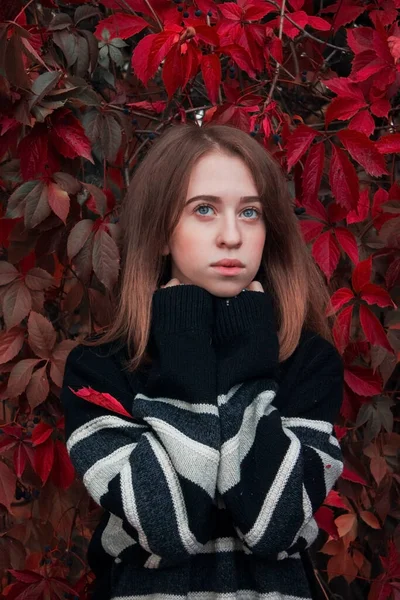 Φθινοπωρινό Πορτρέτο Μιας Όμορφης Χαριτωμένης Γυναίκας Φόντο Έντονα Κόκκινα Φύλλα — Φωτογραφία Αρχείου