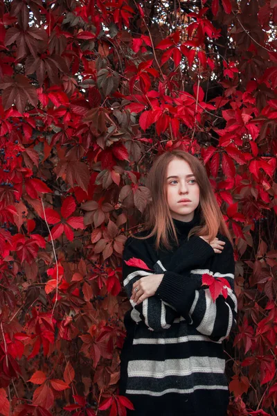 Φθινοπωρινό Πορτρέτο Μιας Όμορφης Χαριτωμένης Γυναίκας Φόντο Έντονα Κόκκινα Φύλλα — Φωτογραφία Αρχείου