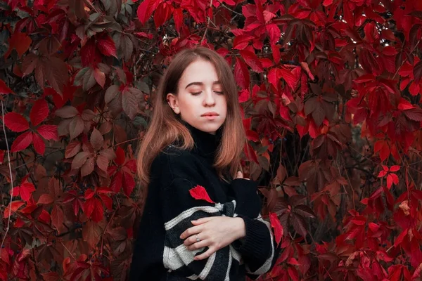 Portrait Automne Une Belle Femme Mignonne Sur Fond Feuilles Rouge — Photo