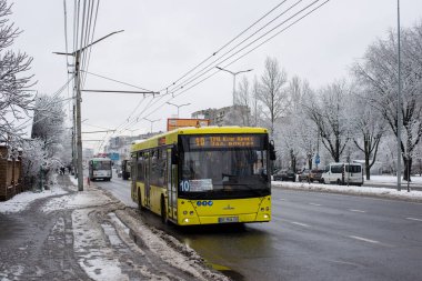 LVIV, UKRAINE - Aralık 03, 2021. Otobüs MAZ-203 ve troleybüs Skoda 14Tr # 559 Lviv caddelerinde yolcularla yolculuk ediyor..