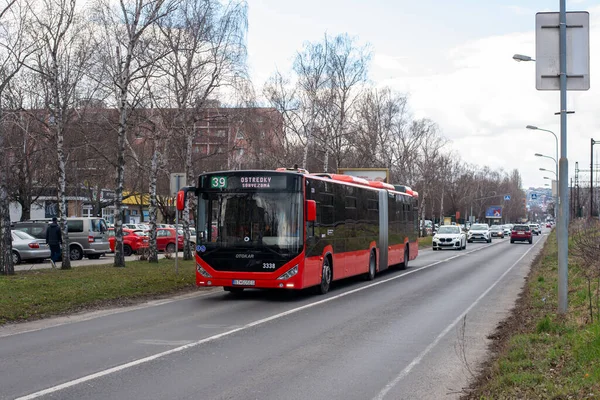 Bratysława Słowacja Lutego 2022 Autobus Otokar Kent Jadący Ulicami Bratysławy — Zdjęcie stockowe