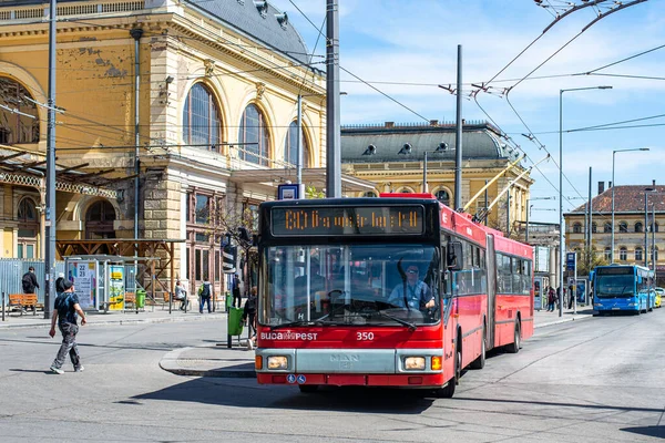 Budapest Hungary April 2022 Trolleybus Graf Stift Ge152 Man 350 — 스톡 사진