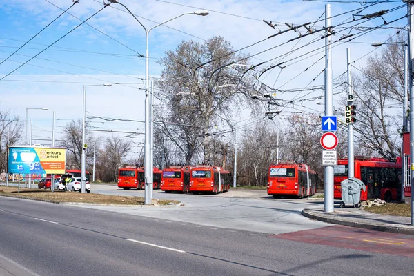 Братислава Словакия Марта 2022 Года Троллейбусы Skoda 31Tr Sor 6805 — стоковое фото