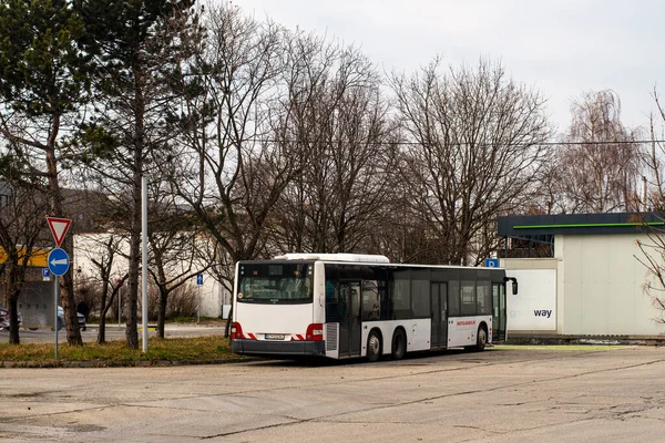 Bratislava Slovakia March 2022 Bus Man A26 Streets Bratislava — Foto Stock