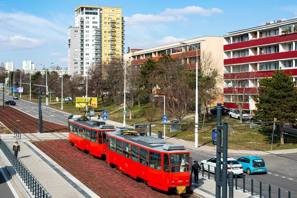 Братислава Словакия Марта 2022 Года Трамваи Tatra T6A5 7953 7954 — стоковое фото