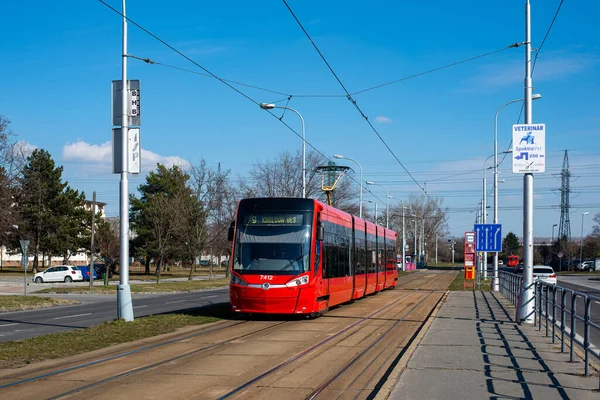 Bratislava Slovakia March 2022 Tram Skoda 29T1 7412 Riding Passengers — Stock Photo, Image