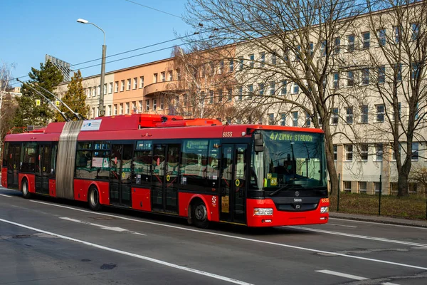 BRATISLAVA, SLOVAKIA - 10 Mart 2022. Trolleybus Skoda 31TR SOR # 6864 Bratislava sokaklarında yolcularla birlikte.