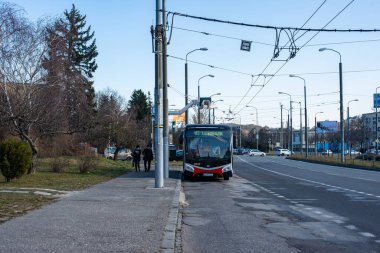 BRATISLAVA, SLOVAKIA - 10 Mart 2022. Elektrik otobüsü SOR NS 12 Elektrik # 3007 Bratislava sokaklarında yolcularla birlikte.