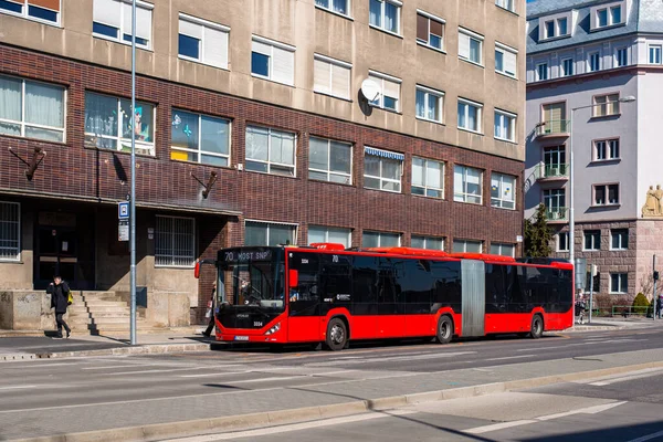 Bratislava Eslovaquia Marzo 2022 Autobús Otokar Kent 3334 Caballo Con —  Fotos de Stock