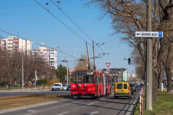 Bratislava Slovakia March 2022 Trolleybus Skoda 15Tr 8146 Riding Passengers — Stock Photo, Image