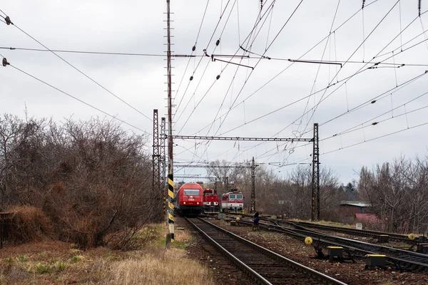 Bratislava Slovakien Mars 2022 Lok Siemens 2006 010 Österrike Zos — Stockfoto