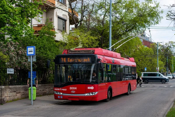 Budapest Węgry Kwietnia 2022 Trolleybus Solaris Trollino Skoda 8004 Jazda — Zdjęcie stockowe