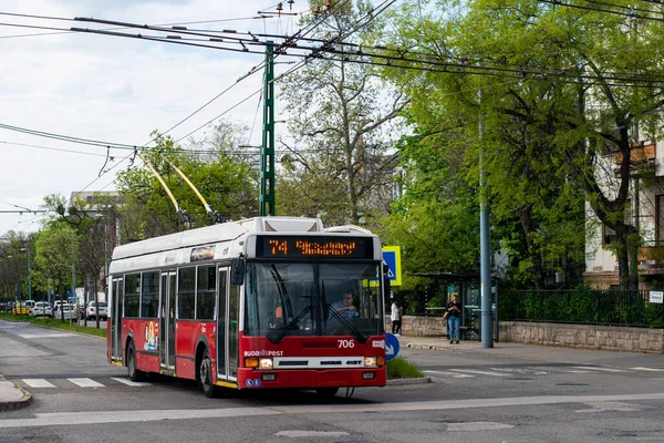 Budapest Hungria Abril 2022 Trolleybus Ikarus 412T 706 Cavalgando Com — Fotografia de Stock