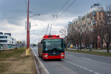 BRATISLAVA, SLOVAKIA 16 Mart 2022. Trolleybus Skoda 30TR SOR # 6016 Bratislava sokaklarında yolcularla birlikte.