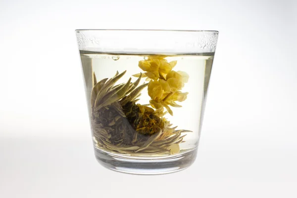 Taza de té verde —  Fotos de Stock
