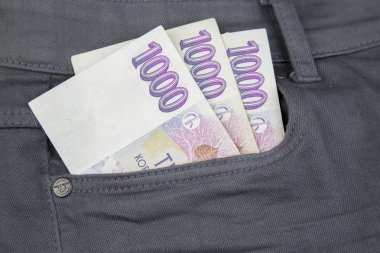 para Çek Cumhuriyeti