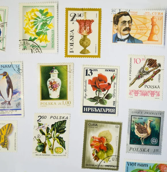 beyaz kağıt üzerinde eski pul koleksiyonu