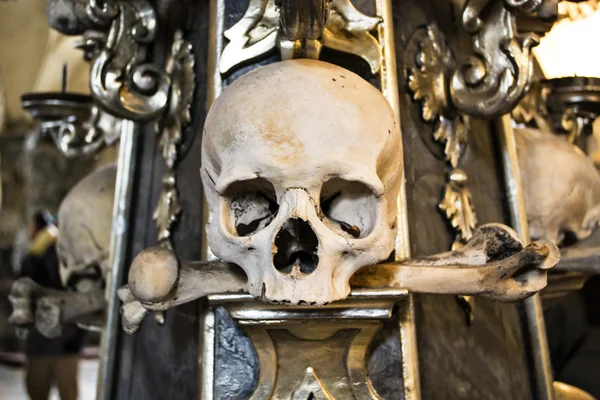 ヒューマン スカルや骨からの装飾の断片 — ストック写真