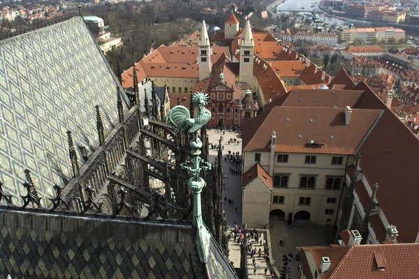 Bronz horoz heykeli üzerinde st. vitus Katedrali, Prag Kalesi