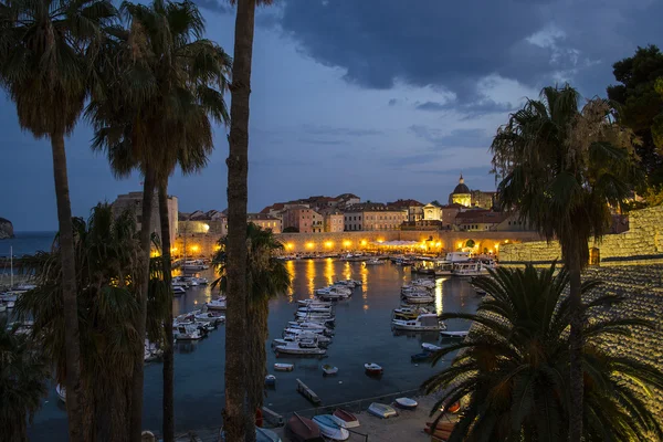 Una vista del casco antiguo de Dubrovnik (Palmeras y puerto en el Ni — Foto de Stock