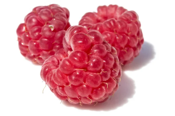 Beyaz arkaplanda ahududu