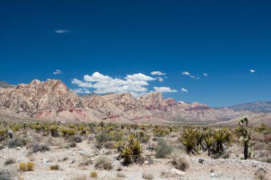 Red Rock Canyon Panoramik, Nevada, ABD