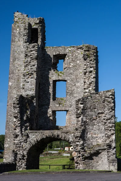 メリフォント修道院郡 louth、アイルランド、ヨーロッパに位置しています — ストック写真